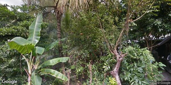 SECRETARIA DE AGRICULTURA GANADERIA DESARROLLO RURAL PESCA Y ALIMENTACIÓN